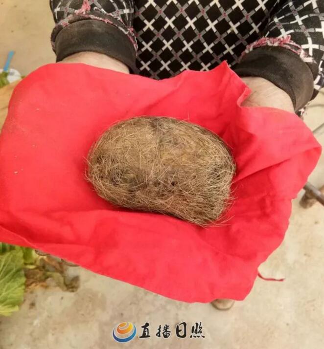 ����һũ��ɱ���ɻ������� ���������׷�